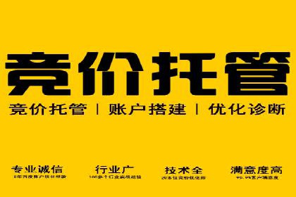 SEM专员如何提升广告投放效果的真实案例